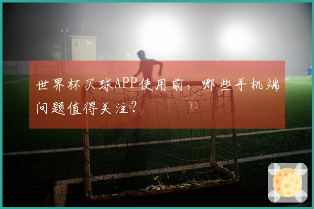 世界杯买球APP使用前，哪些手机端问题值得关注？
