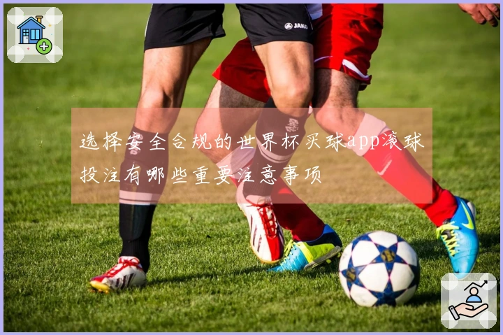 选择安全合规的世界杯买球app滚球投注有哪些重要注意事项