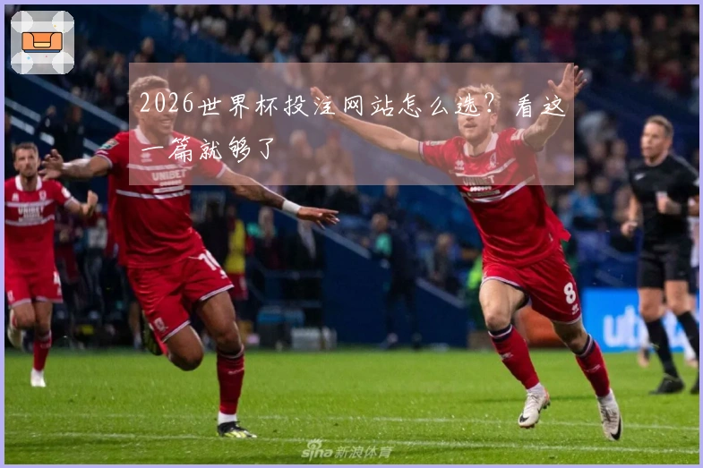 2026世界杯投注网站怎么选？看这一篇就够了