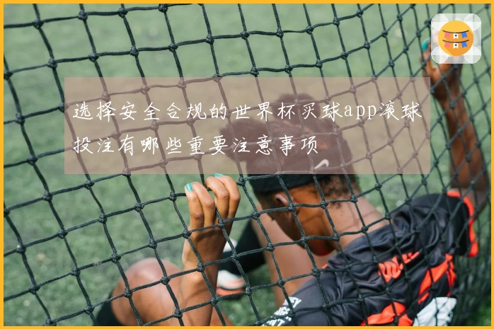 选择安全合规的世界杯买球app滚球投注有哪些重要注意事项