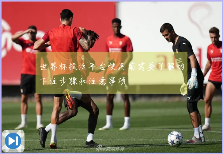 世界杯投注平台使用前需要了解的下注步骤和注意事项